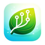 Boon Tools